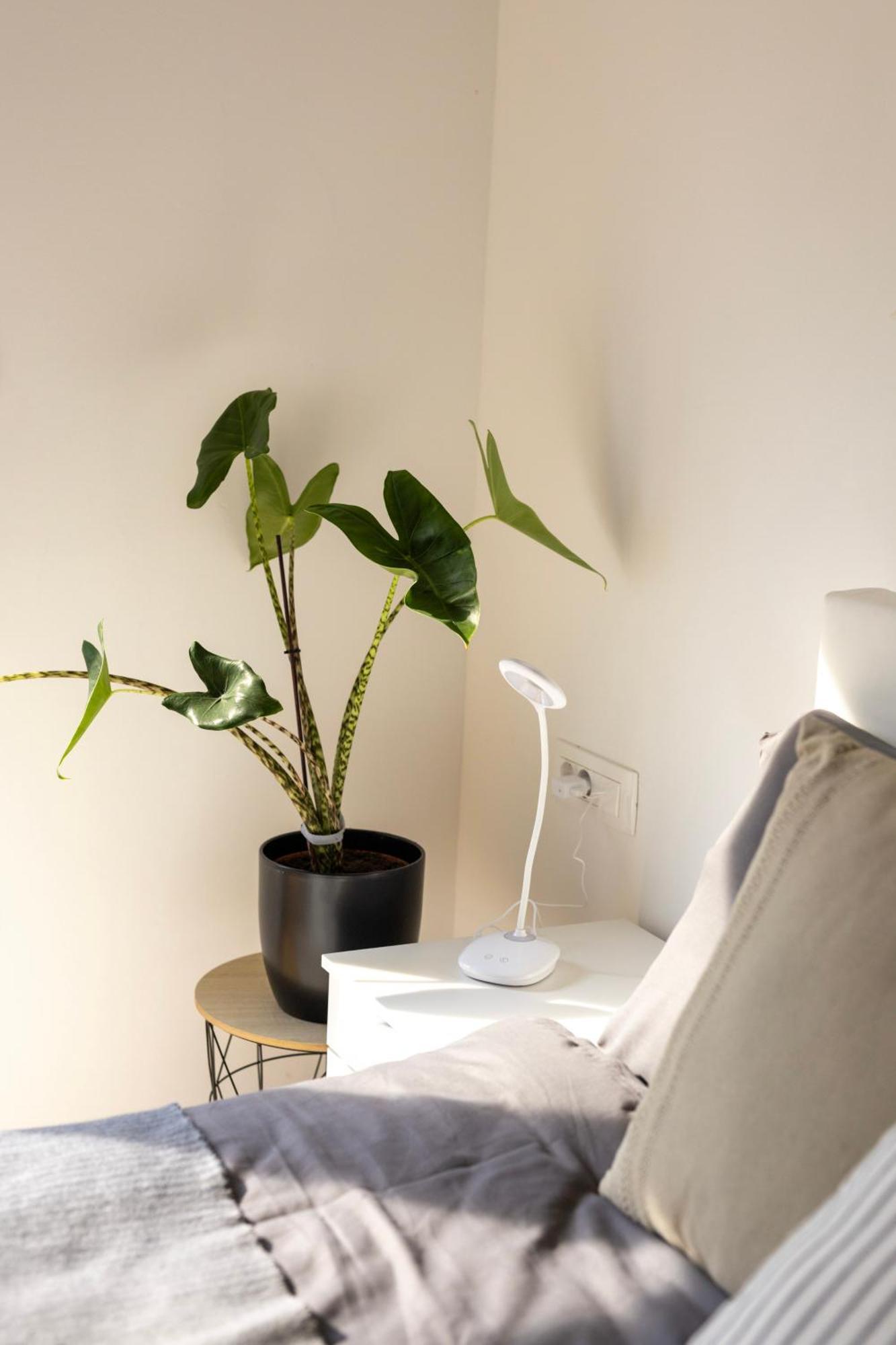 Aura Apartments زيروفنيكا المظهر الخارجي الصورة